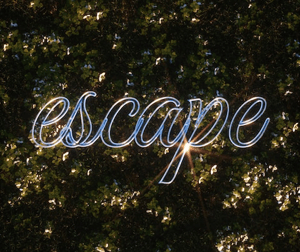 <span>Responsive</span>